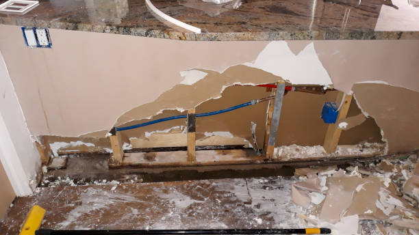 Best Water damage mitigation services  in Woodbury, MN