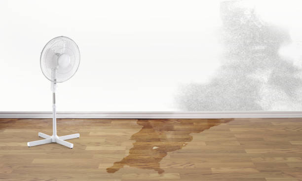 Best Basement water damage restoration  in Woodbury, MN