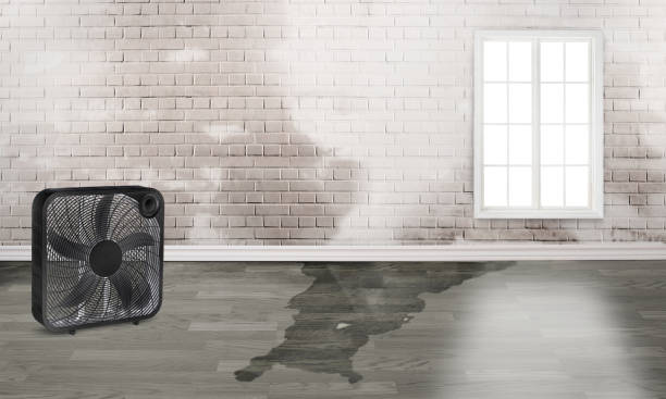 Best Sewage cleanup and water damage restoration  in Woodbury, MN