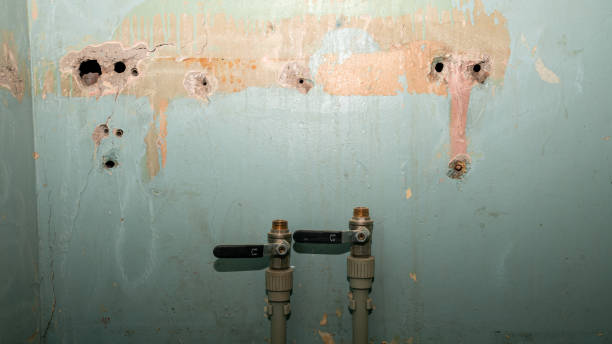 Best Emergency water damage restoration  in Woodbury, MN