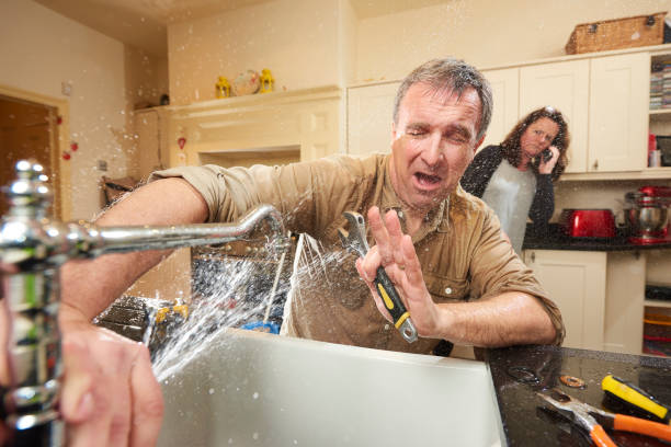 Best Water damage cleanup near me  in Woodbury, MN